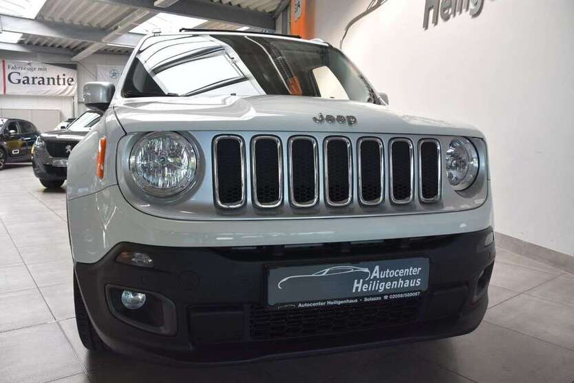 Renegade