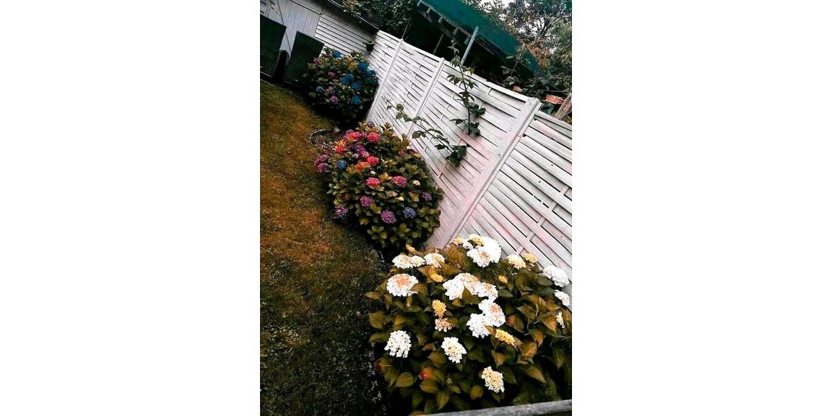 Dachgeschoßwohnung Gelsenkirchen Buer - 3 Zimmer, 65 m&sup2;, 840&euro; | Angebot:26413475