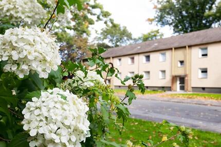 Klein, fein, zentral: EG-Wohnglück auf zwei Zimmern 2 zimmer