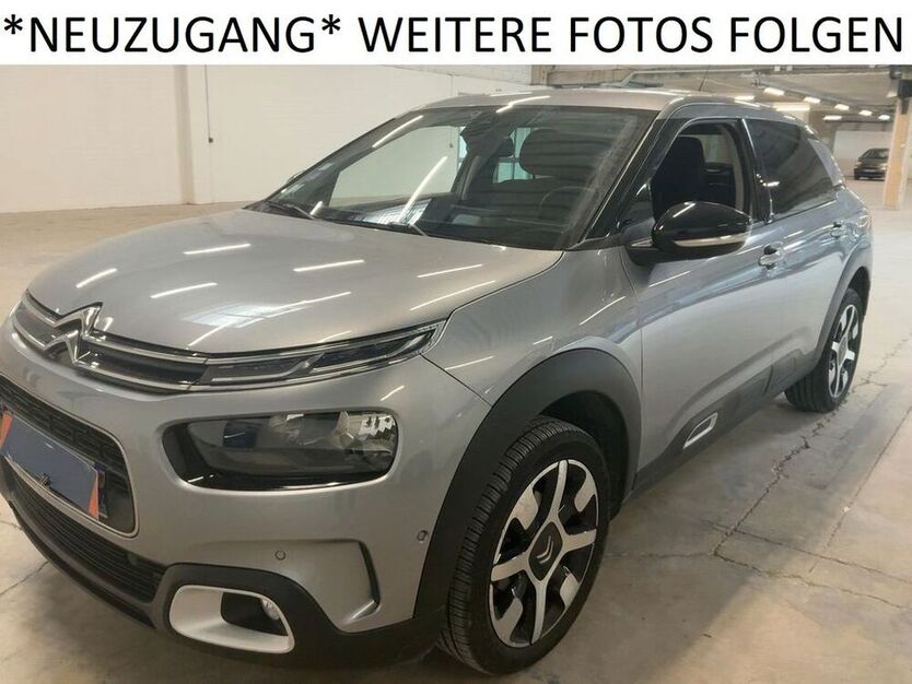 C4 Cactus