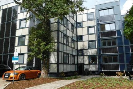 Wohnung im frisch modernisiertem Haus frei! Ideal als kleine Familie! zimmer