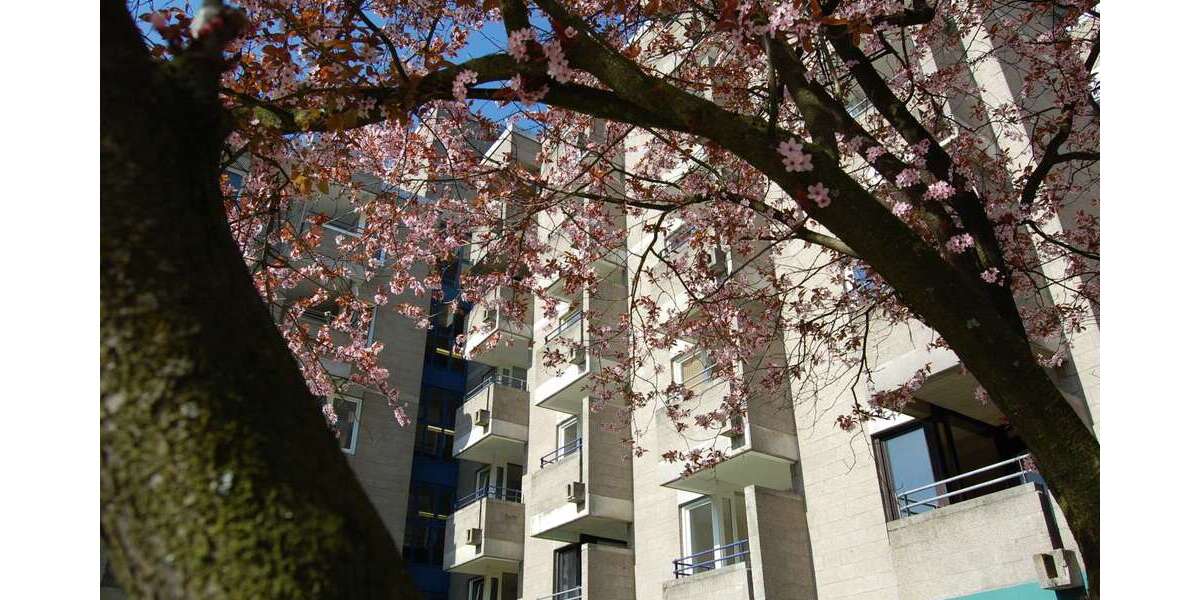 Etagenwohnung Schwelm Brunnen - 2 Zimmer, 58 m&sup2;, 575&euro; | Angebot:22934541