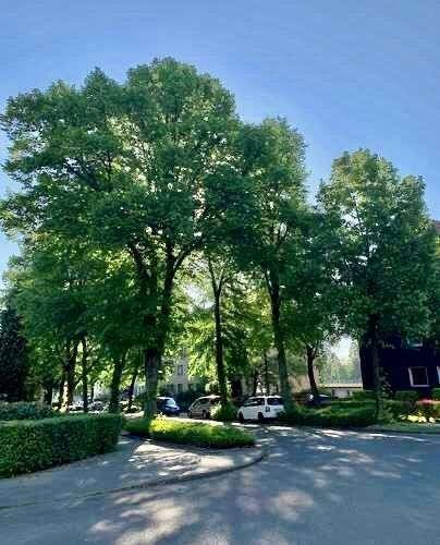 Etagenwohnung Essen Stadtbezirk IV - 1 Zimmer, 45 m&sup2;, 395&euro; | Angebot:24280196