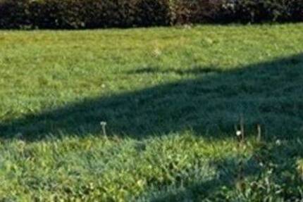 Grundstück Castrop-Rauxel Merklinde - 130.000&euro; | Angebot:25769687