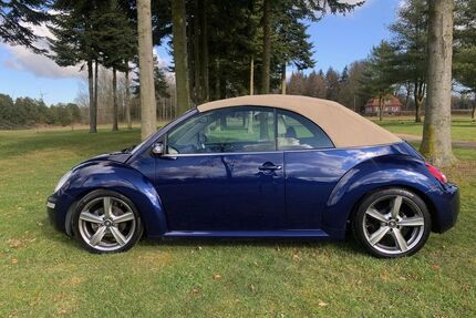 VW Beetle