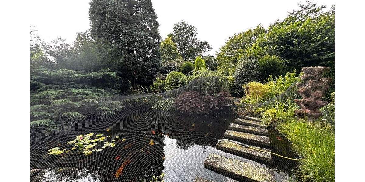 Mehrfamilienhaus, Wohnhaus Gelsenkirchen Horst - 895.000&euro; | Angebot:25779528