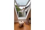 Dachgeschoßwohnung Witten Annen - 2 Zimmer, 56 m&sup2;, 699&euro; | Angebot:26385467