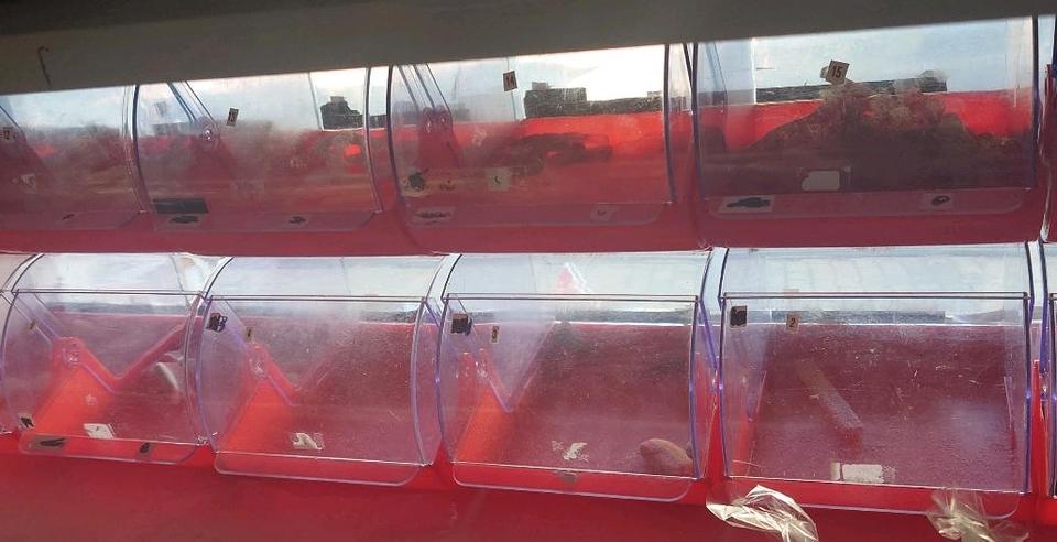 kiosk Bottrop Eigen zimmer