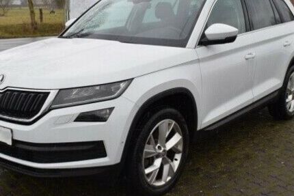 Skoda Kodiaq 169.900 km 20.100 &euro; Herne 44651
