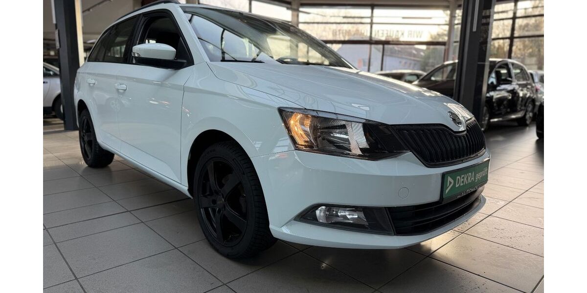 Skoda Fabia 165.000 km 6.890 &euro; Bottrop 46238
