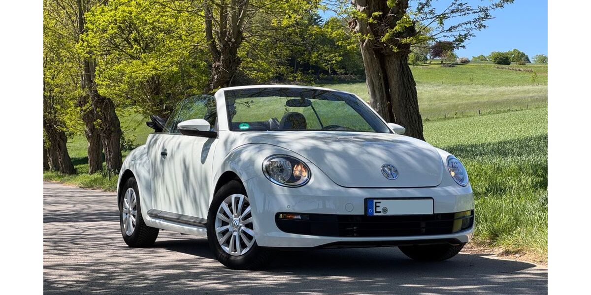 VW Beetle 61.000 km 11.990 &euro; Essen 45149