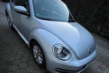 VW Beetle