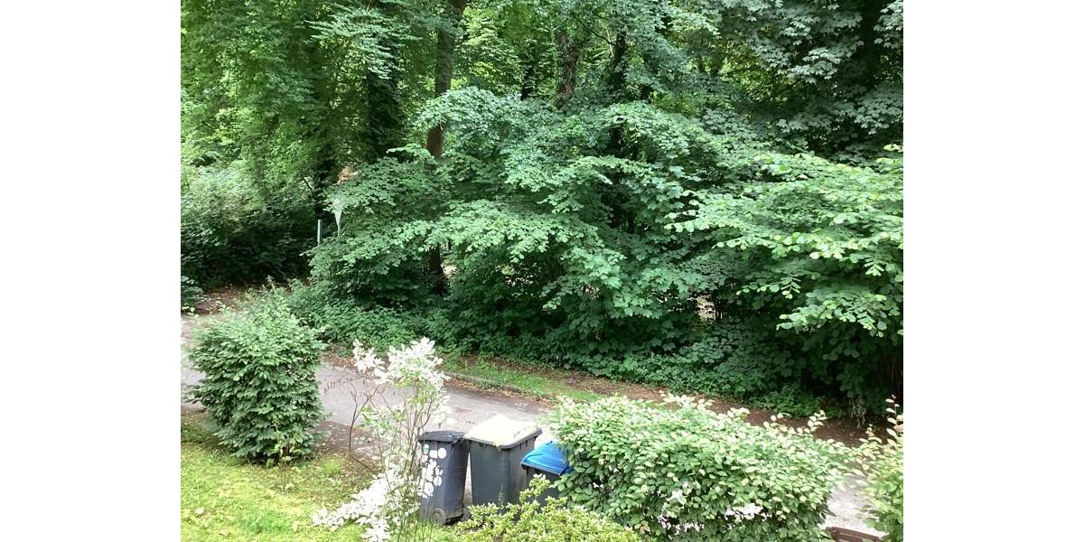 Erdgeschoßwohnung Gelsenkirchen Ückendorf - 2.5 Zimmer, 81 m&sup2;, 679&euro; | Angebot:25153085