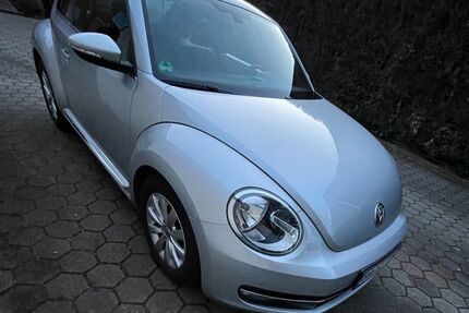VW Beetle