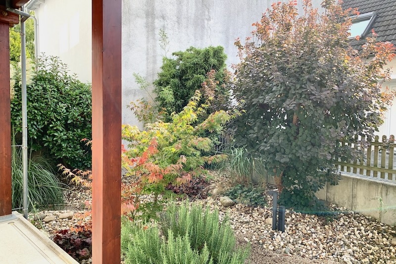 Hier stimmt alles! Tip-top Kapitalanlage! 11.5 zimmer