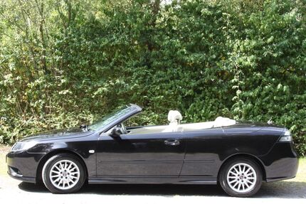 Saab 9-3 136.158 km 14.750 € Düsseldorf 40627