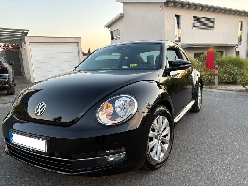 Beetle
