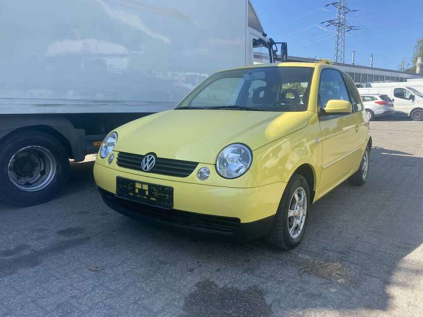 Lupo