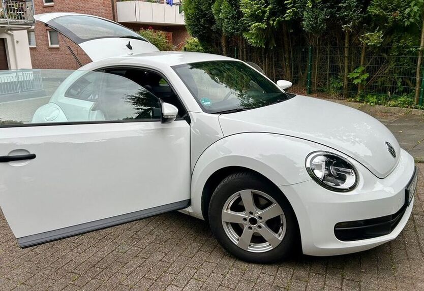 Beetle