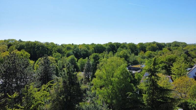 Bungalow Essen Holsterhausen - 1 Zimmer, 345 m&sup2;, 895.000&euro; | Angebot:26502556