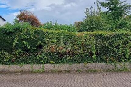 SONNENSTÜCK - UNBEBAUT UND NAHERHOLUNG - Grundstück Essen Stadtbezirk VII | Angebot:25025202