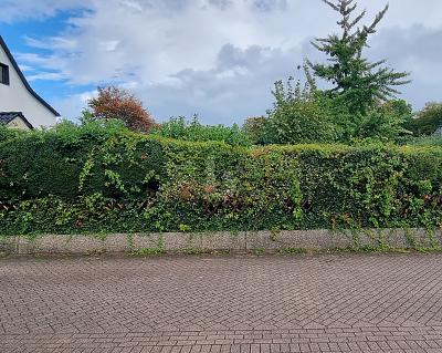 SONNENSTÜCK - UNBEBAUT UND NAHERHOLUNG - Grundstück Essen Stadtbezirk VII | Angebot:25025202