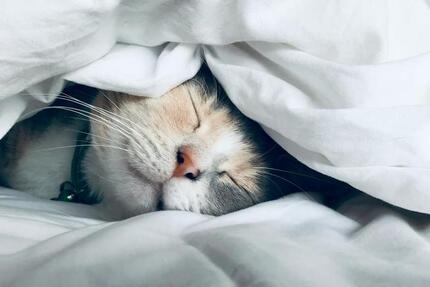 Preiswerte Mietkaufimmobilie abzugeben. Ohne Eigenkapital möglich. zimmer