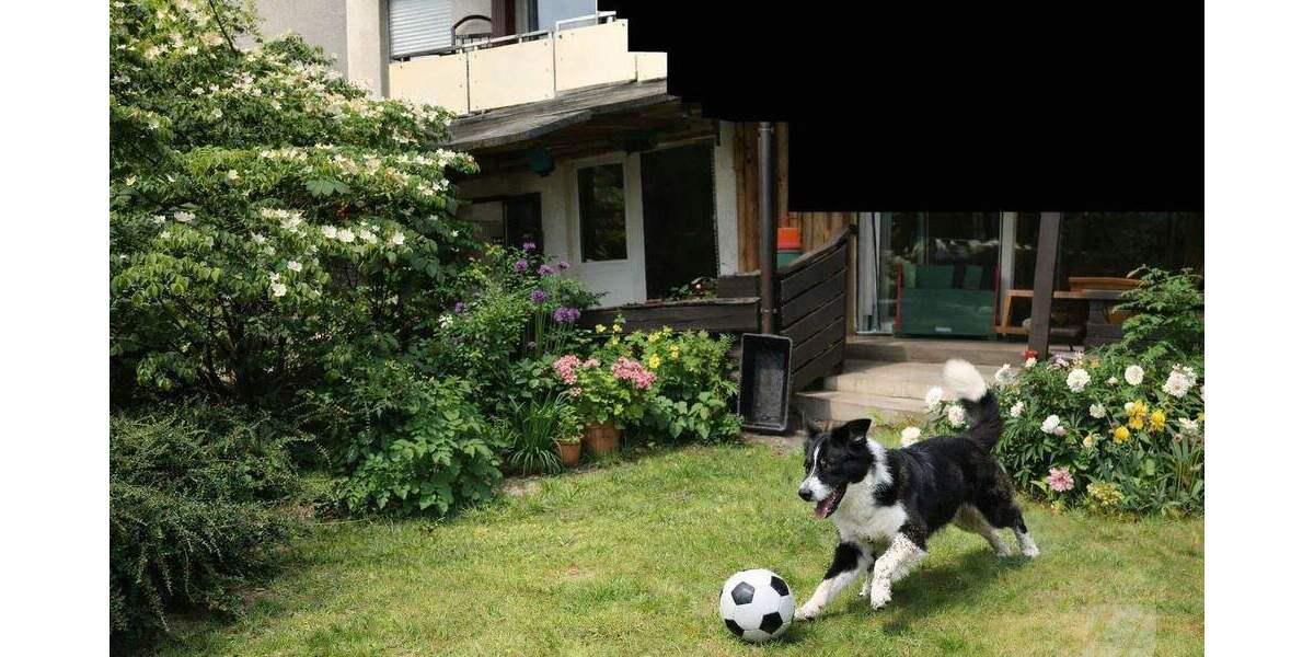 Exklusives Haus-im-Haus-Konzept mit traumhaftem Garten und privater Wellnessoase 4 zimmer