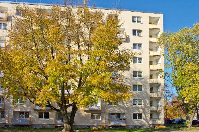 Etagenwohnung Essen Leithe - 2 Zimmer, 65 m&sup2;, 521&euro; | Angebot:26451737