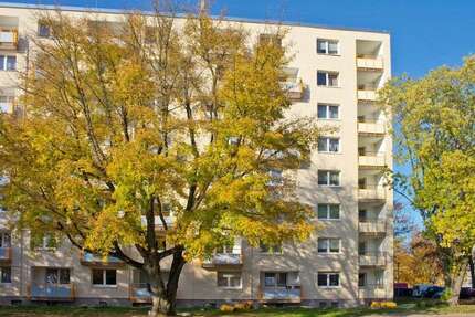 Wohnung Essen Leithe - 2 Zimmer, 65 m&sup2;, 521&euro; | Angebot:26451737