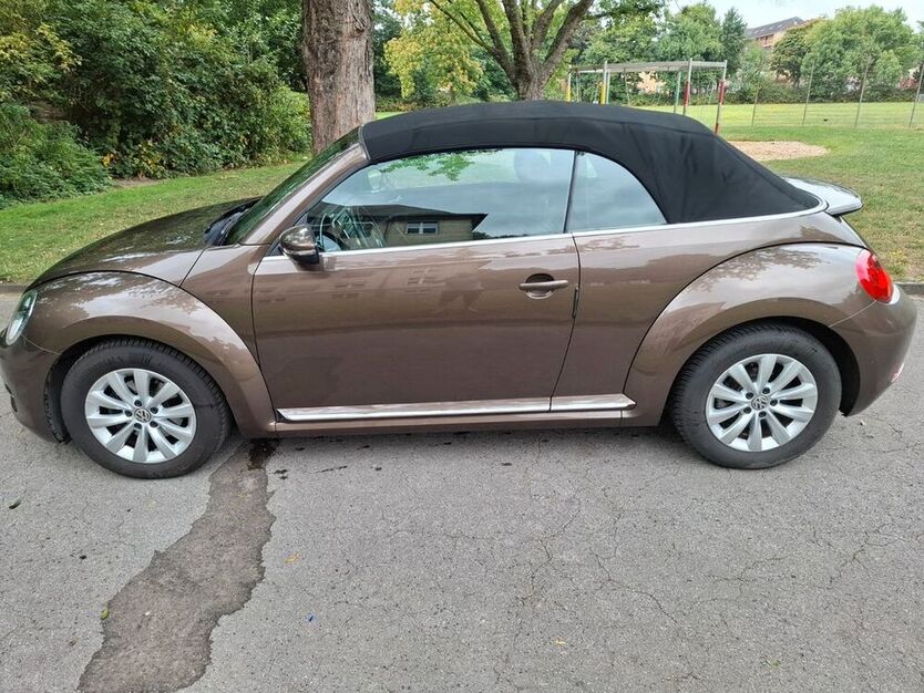 Beetle