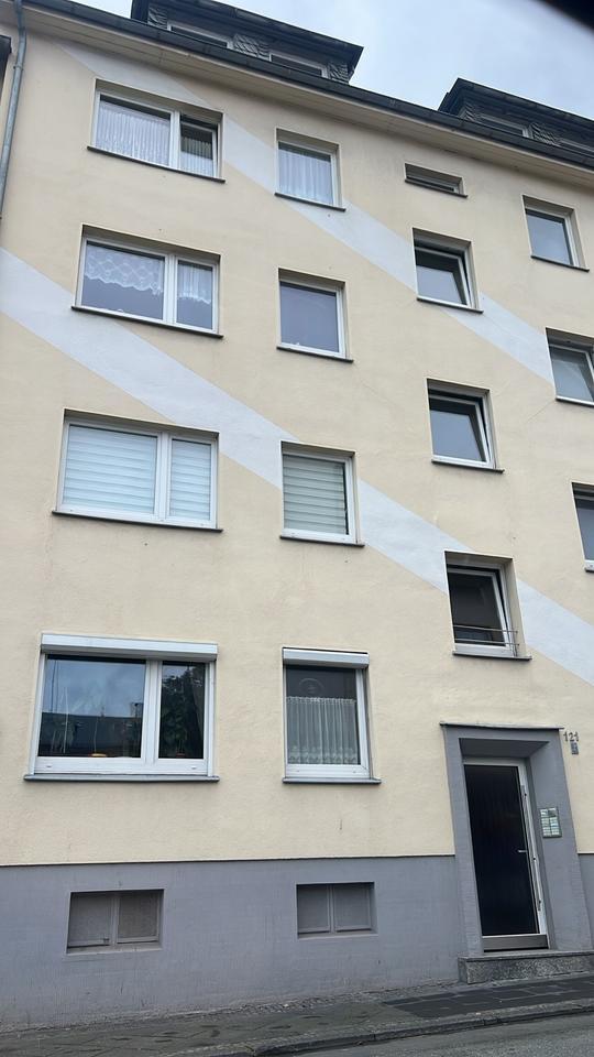 Wohnung ab sofort zu vermieten zimmer