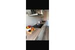 Etagenwohnung Bochum Höntrop - 3.5 Zimmer, 72 m&sup2;, 150.000&euro; | Angebot:27133710