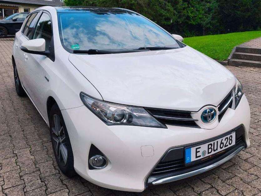 Auris