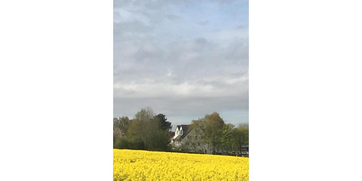 Etagenwohnung Mülheim an der Ruhr Menden-Holthausen - 1 Zimmer, 85 m&sup2;, 387.000&euro; | Angebot:25129723