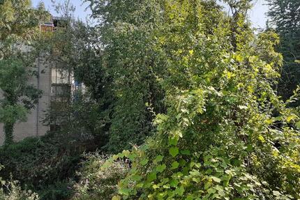 Wohnung Wuppertal Elberfeld - 2 Zimmer, 48 m&sup2;, 95.000&euro; | Angebot:27446968