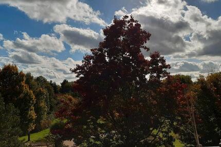 Wohnung Voerde (Niederrhein) - 3.5 Zimmer, 78 m&sup2;, 795&euro; | Angebot:25625244