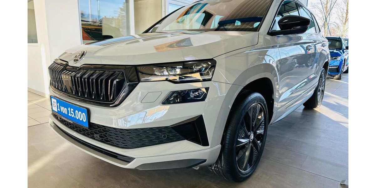 Skoda Karoq 88.700 km 26.390 &euro; Wetter 58300