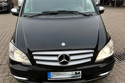 Mercedes Viano