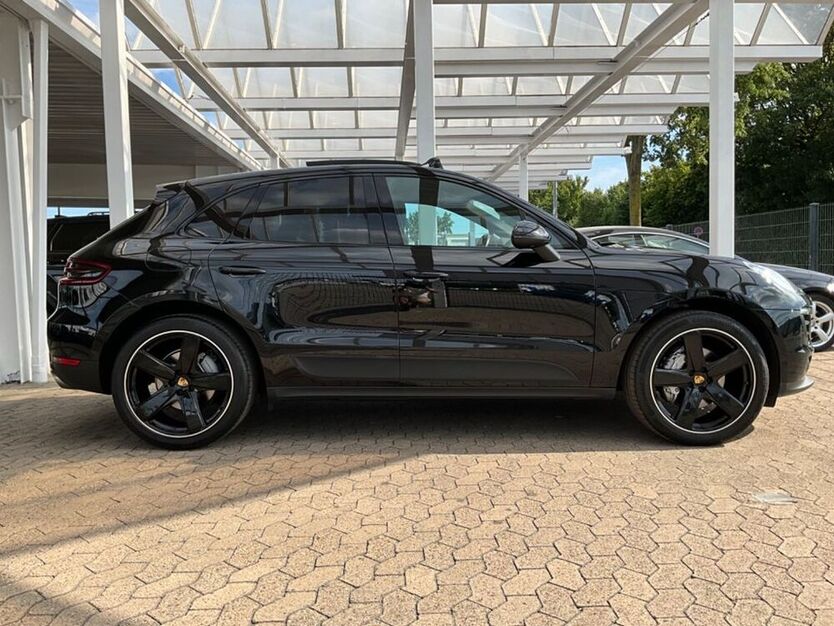 Macan