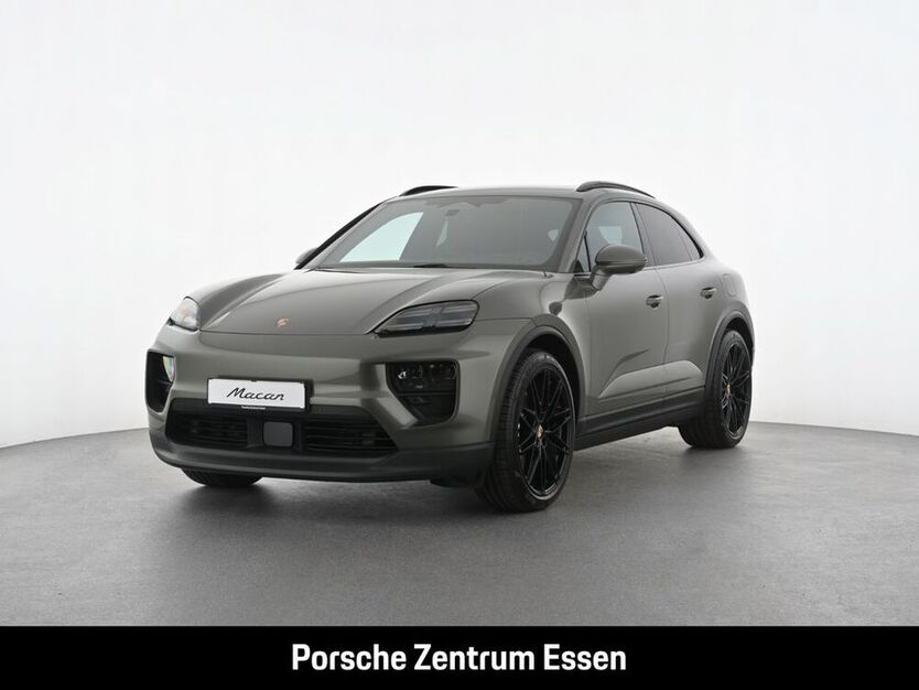 Macan