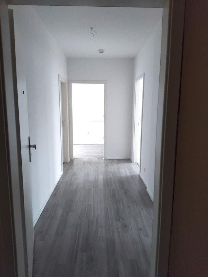 Renovierte 2 Zimmer Wohnung im DG in Gelsenkirchen zu vermieten!!! zimmer