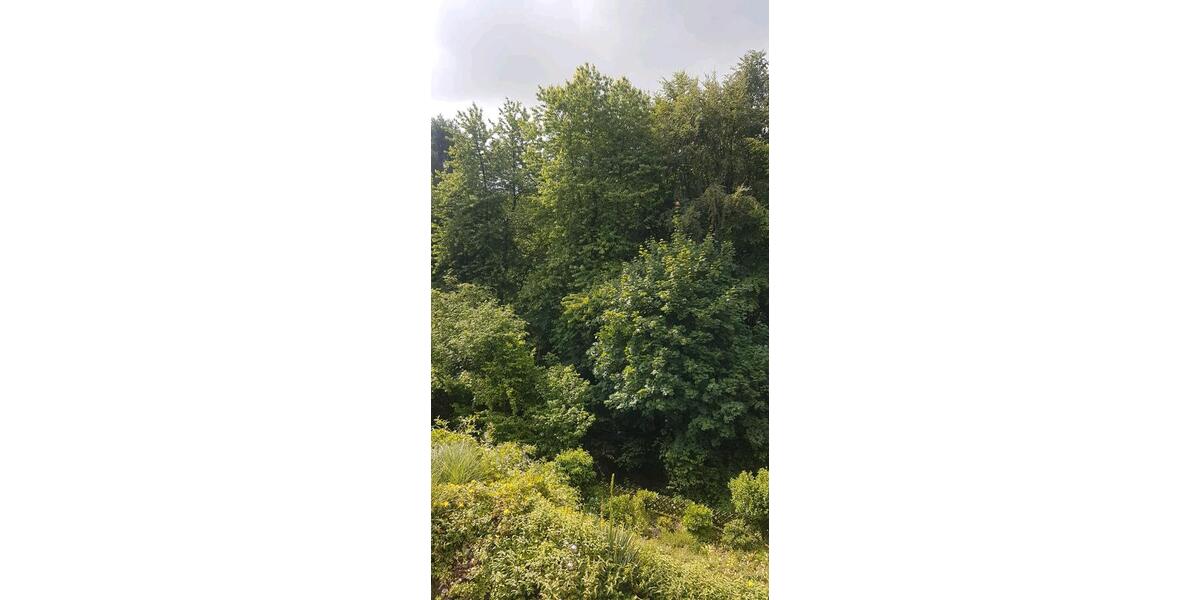 Mehrfamilienhaus, Wohnhaus Velbert Pöthen - 11 Zimmer, 300 m&sup2;, 670.000&euro; | Angebot:26905114