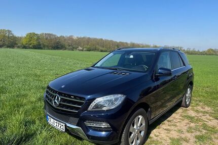 Mercedes ML 350