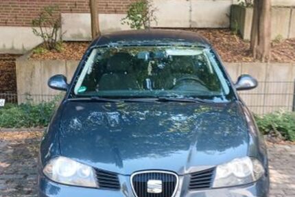 Seat Ibiza 122.864 km 1.350 &euro; Witten 58453