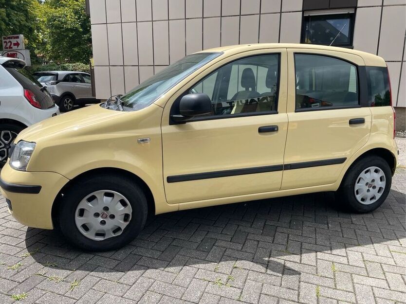 Panda