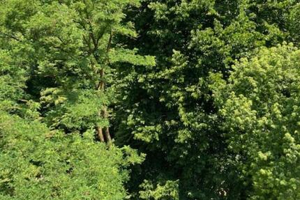 1-2 Zimmer-Wohnung in exponierter Lage mit grosser Terrasse 1 zimmer