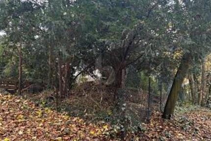 BAUEN NACH IHREN VORSTELLUNGEN - Grundstück Bochum Bochum-Nord | Angebot:25025217