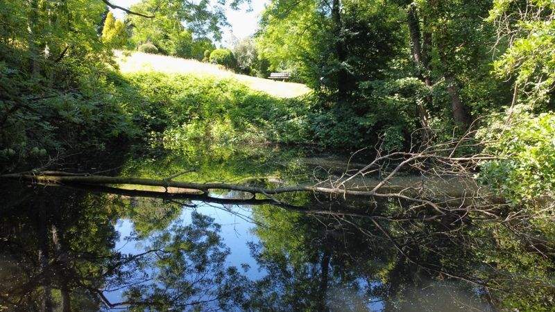 Eigentumswohnung in Haarzopf mit Weitblick ins Grüne! 3 zimmer