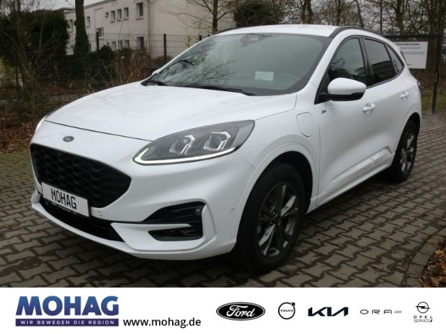 Kuga